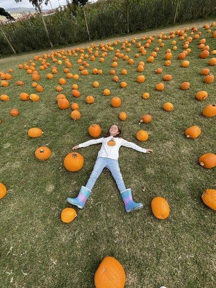 pumpkin patch